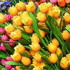 Схема вышивки «№283244»