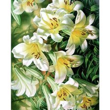 Схема вышивки «белоснежные лилии»