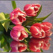 Схема вышивки «№283356»