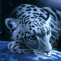 Схема вышивки «Леопард»