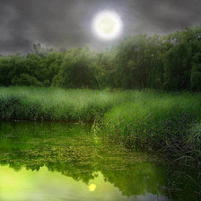 Схема вышивки «серия "природа"»