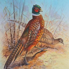 Схема вышивки «№283813»