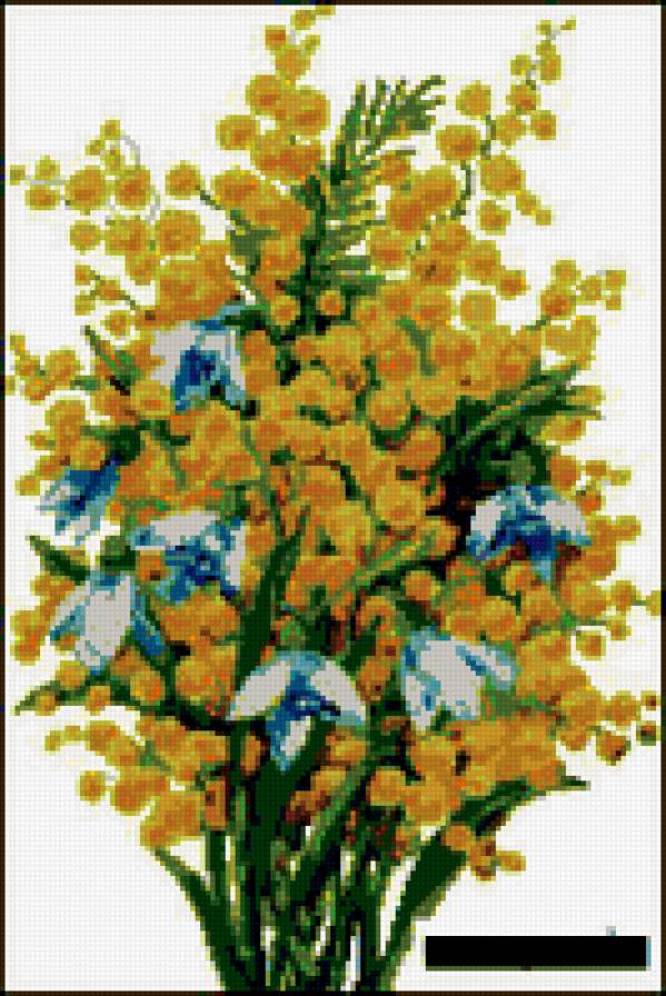 мимоза - предпросмотр