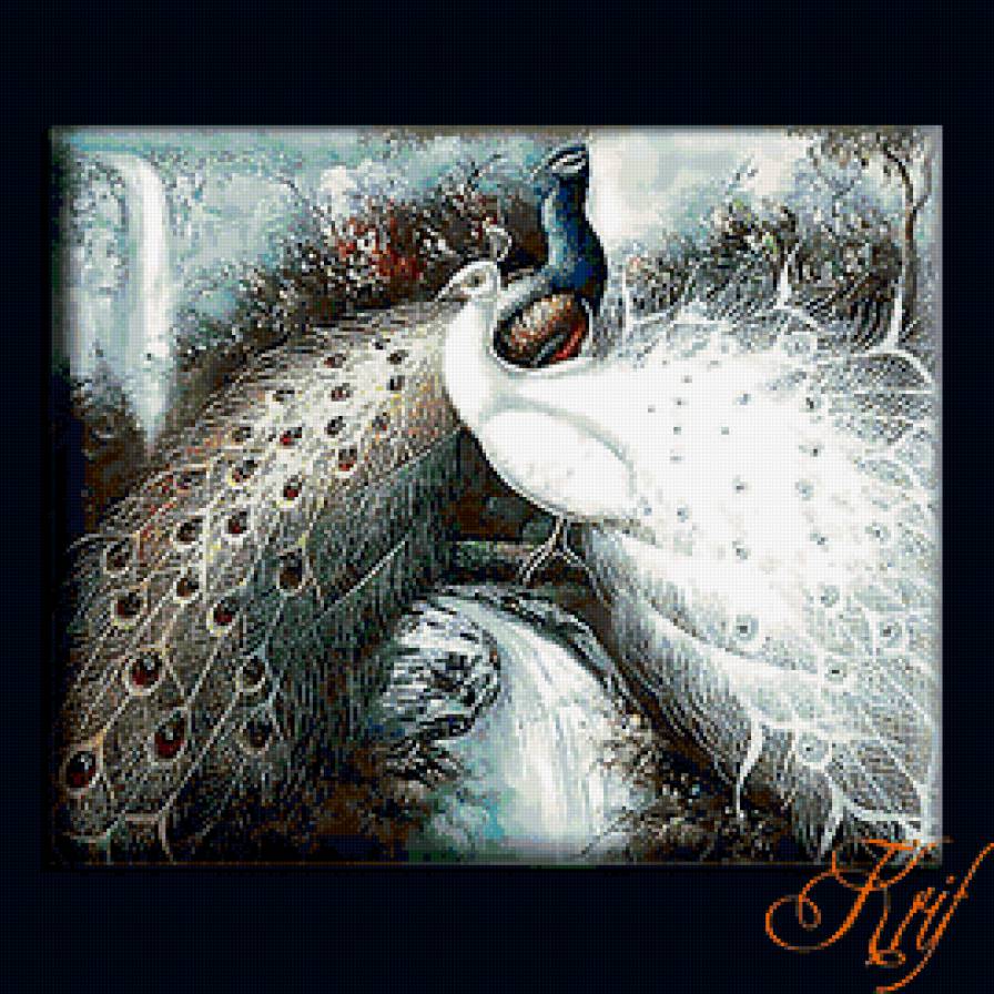 серия "птицы" - птица.павлины - предпросмотр