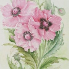 Схема вышивки «маки»