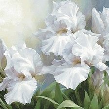 Схема вышивки «Ирисы»