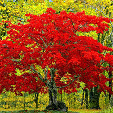 Схема вышивки «№283991»