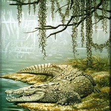 Схема вышивки «№283992»