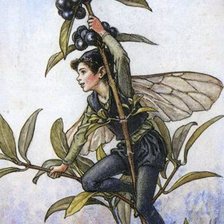 Цветочные феи