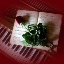 Схема вышивки «Роза»