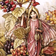 Цветочные феи