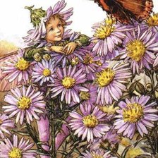 Цветочные феи