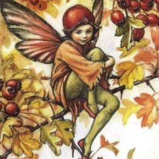 Схема вышивки «Цветочные феи»