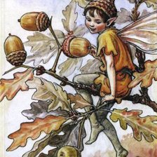 Цветочные феи