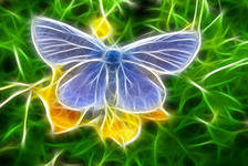 Схема вышивки «№284067»