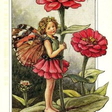 Цветочные феи