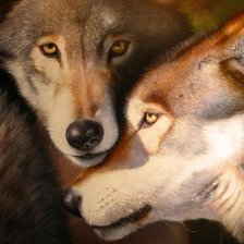 Схема вышивки «Пара»