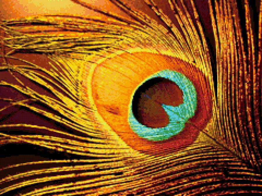 Перо - павлин, перья - предпросмотр