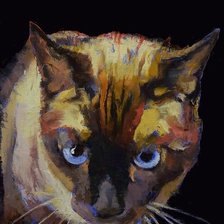 Схема вышивки «кошкин взгляд 2»