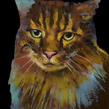 кошкин взгляд 4