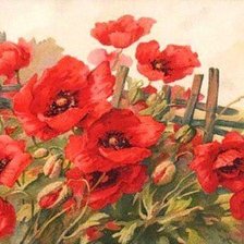 Схема вышивки «маки»