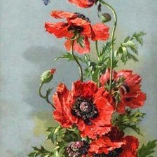 Схема вышивки «маки»