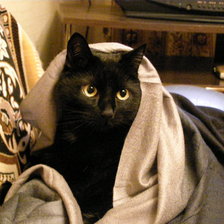 Схема вышивки «Дэн»