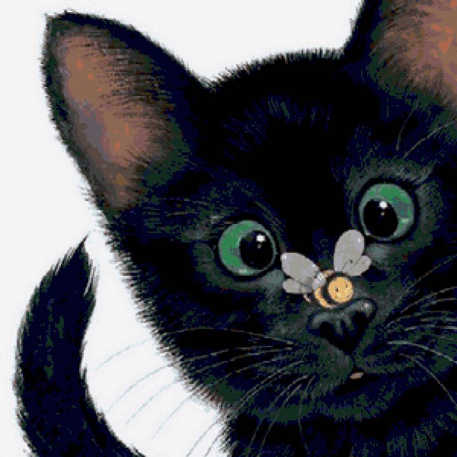 котик - кошки - предпросмотр