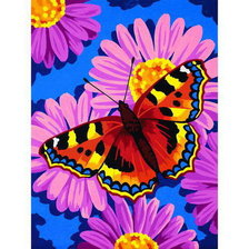 бабочка на цветах