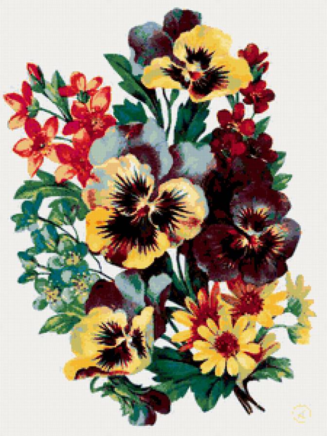 анютины глазки - предпросмотр