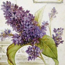 Схема вышивки «ветка сирени»