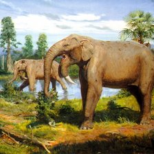 Схема вышивки «№284475»