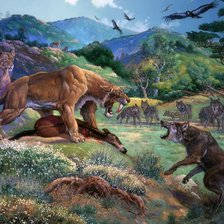 Схема вышивки «соблизубый»