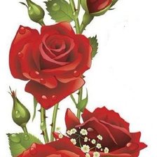 Схема вышивки «розы»