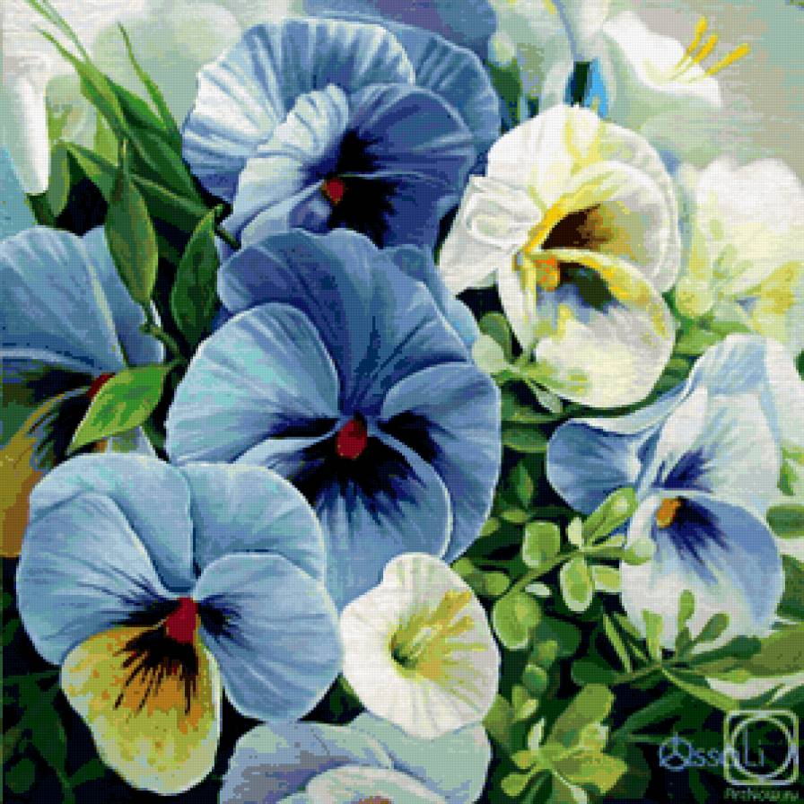 анютины глазки - цветы - предпросмотр