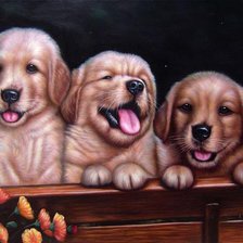 Схема вышивки «очаровательные щенки»