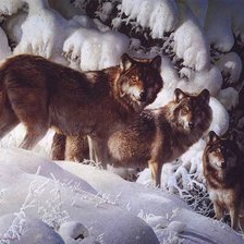 Схема вышивки «№284598»