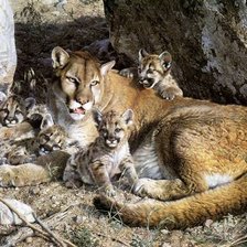 Схема вышивки «семейство на отдыхе»
