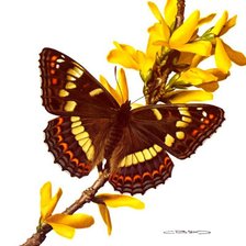 Схема вышивки «№284701»