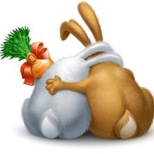 Влюбленная парочка