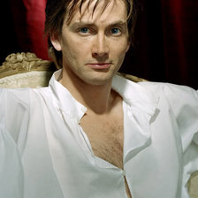 Схема вышивки «kazanova tennant»