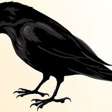 Схема вышивки «Шон тер Дейл»