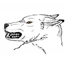 Схема вышивки «Волчарик)»