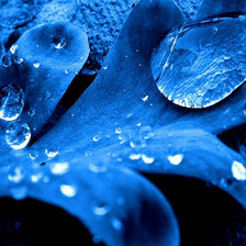 Схема вышивки «№284841»