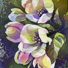 Схема вышивки «цветы»