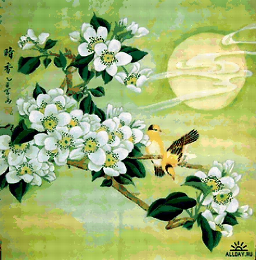 Весна - цветы, птицы - предпросмотр