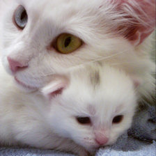 Схема вышивки «сберегу от всех невзгод»