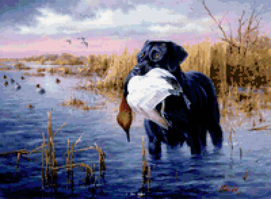 На охоте - природа, охота, собаки - предпросмотр