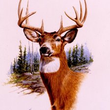 Схема вышивки «Олень»