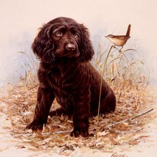 Схема вышивки «Щенок и птичка»